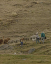 Our Journey to Full Traceability