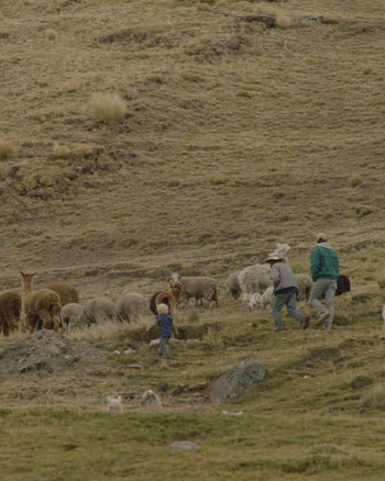 Our Journey to Full Traceability