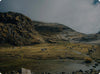 Herd of alpacas grazing on a grassy mountain valley under a cloudy sky