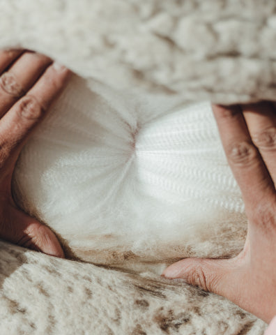 White alpaca wool 