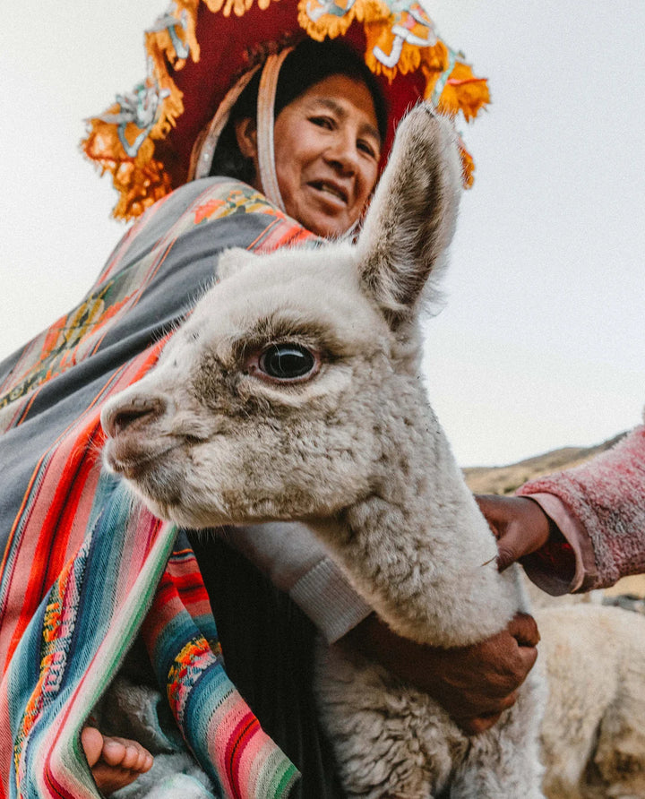 Person in colorful Andean clothing holding a white alpaca close in an outdoor portrait in the Peruvian Andes