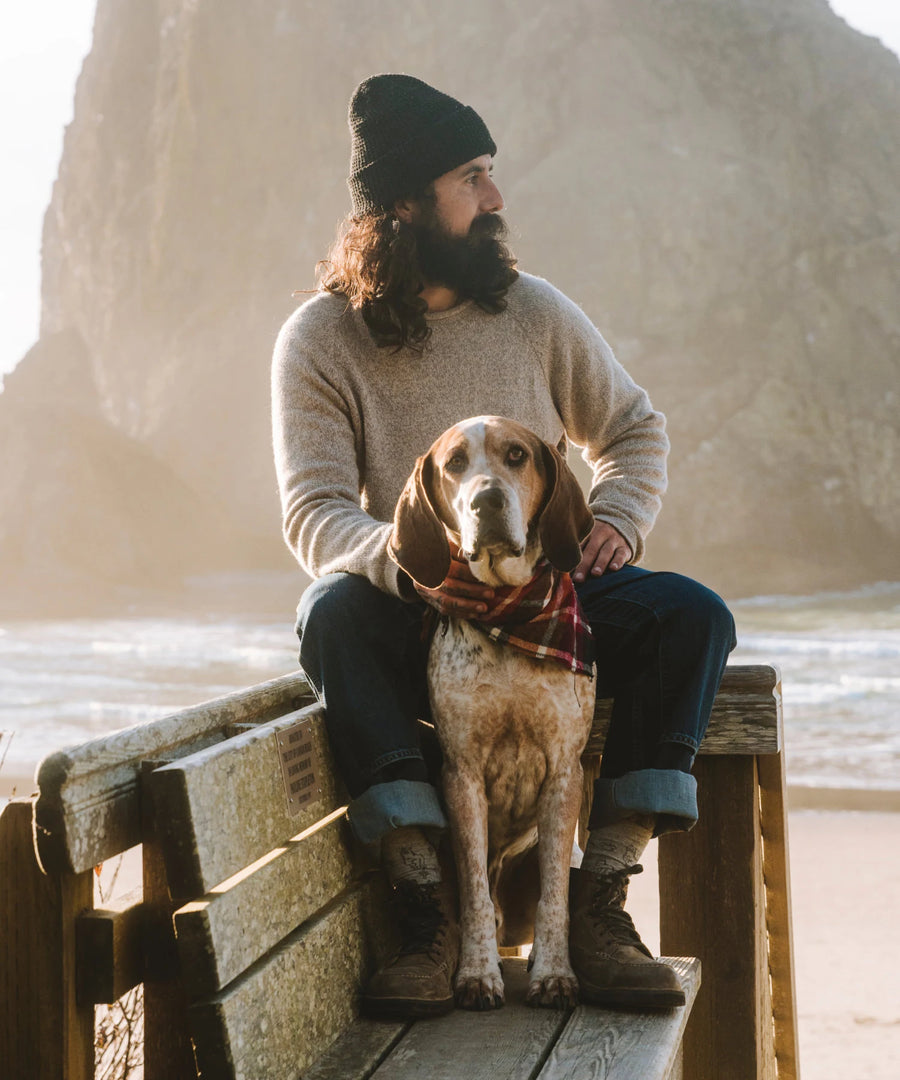 Man wearing Timber Cusco alpaca-merino sweater in a relaxed fit sitting on a bench at the beach with a dog