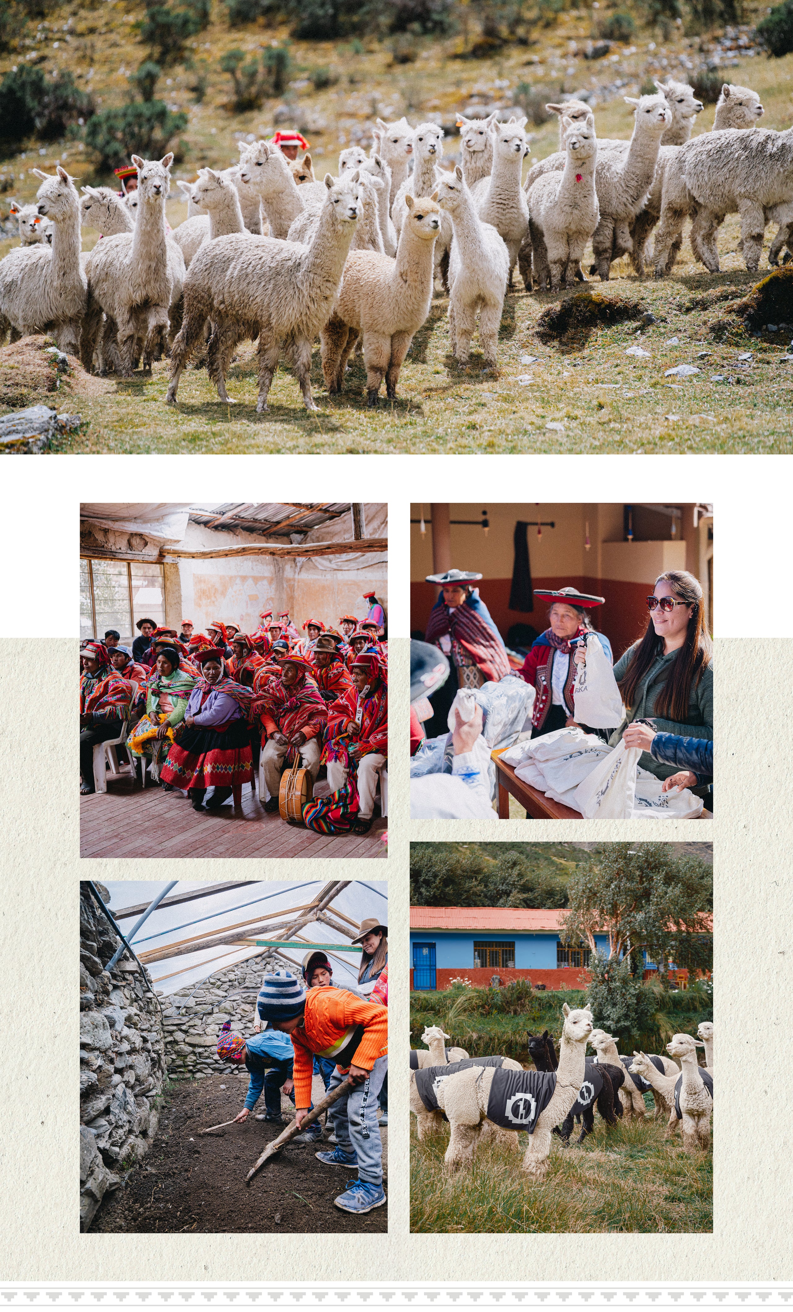 Collage of community scenes: a herd of alpacas on a hillside, villagers weaving and meeting in a Peruvian mountain village