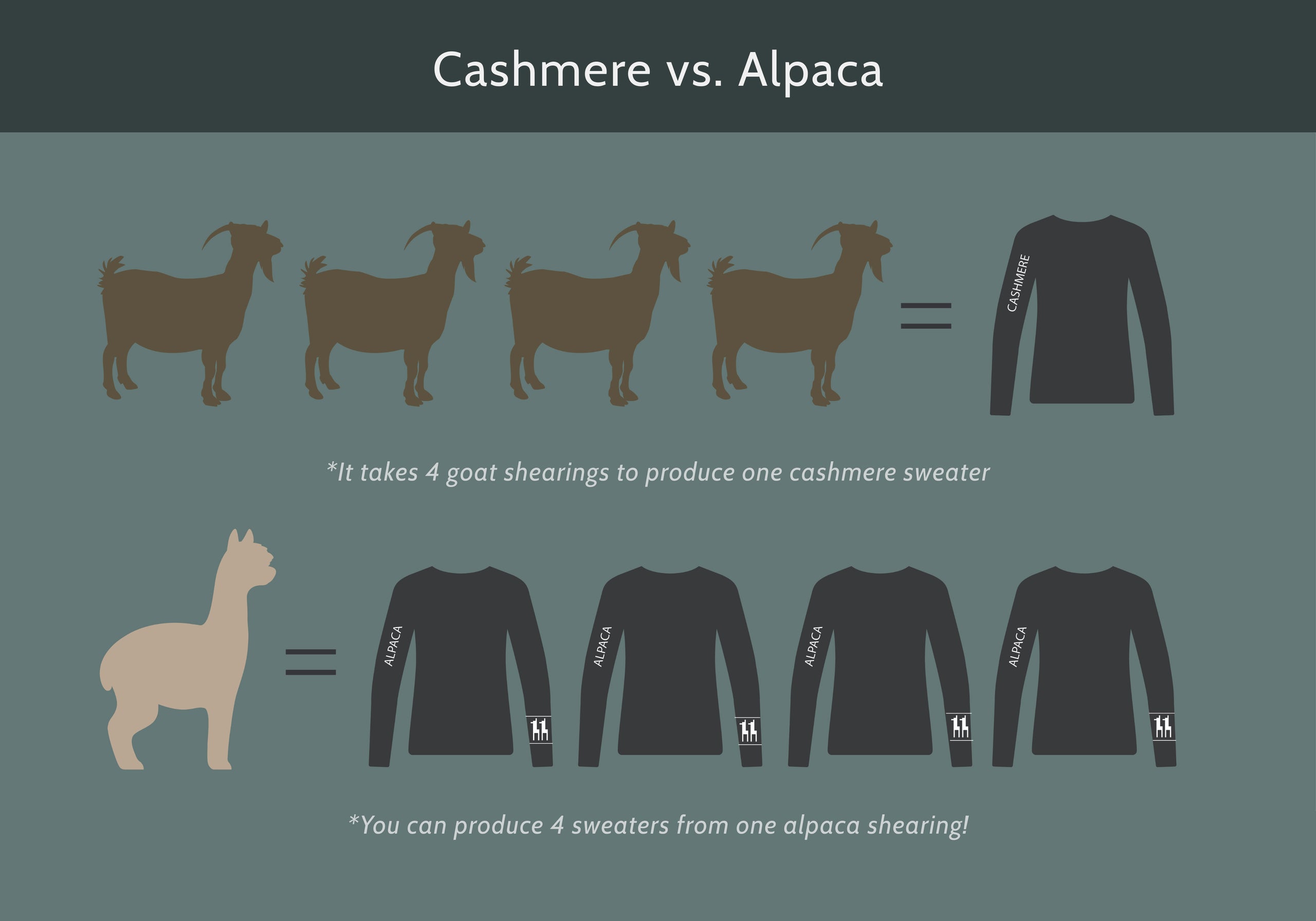 Cashmere vs alpaca. It takes 4 goats shearings to produce one cashmere sweater. You can produce 4 sweaters from one alpaca shearing