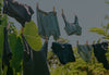 PAKA underwear and camisoles hanging on a clothesline outdoors with green foliage background