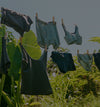 PAKA Essentials underwear and tops hanging on a clothesline in a sunlit grassy outdoor setting