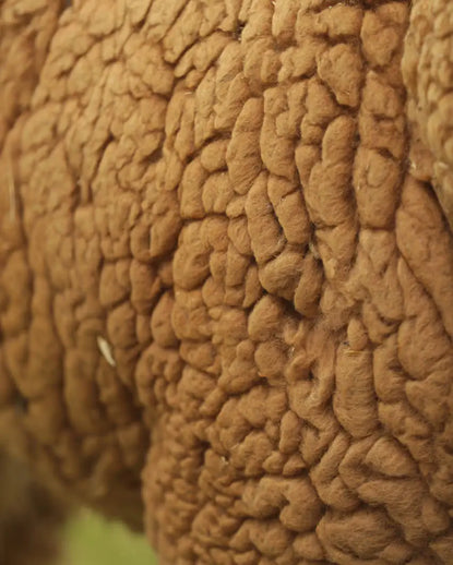 A light brown alpaca fleece