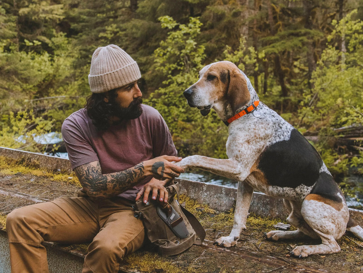 Man in Mauve Alpaca and Organic Cotton T-Shirt Shaking Hands with His Dog with Trees in Background – PAKA Apparel