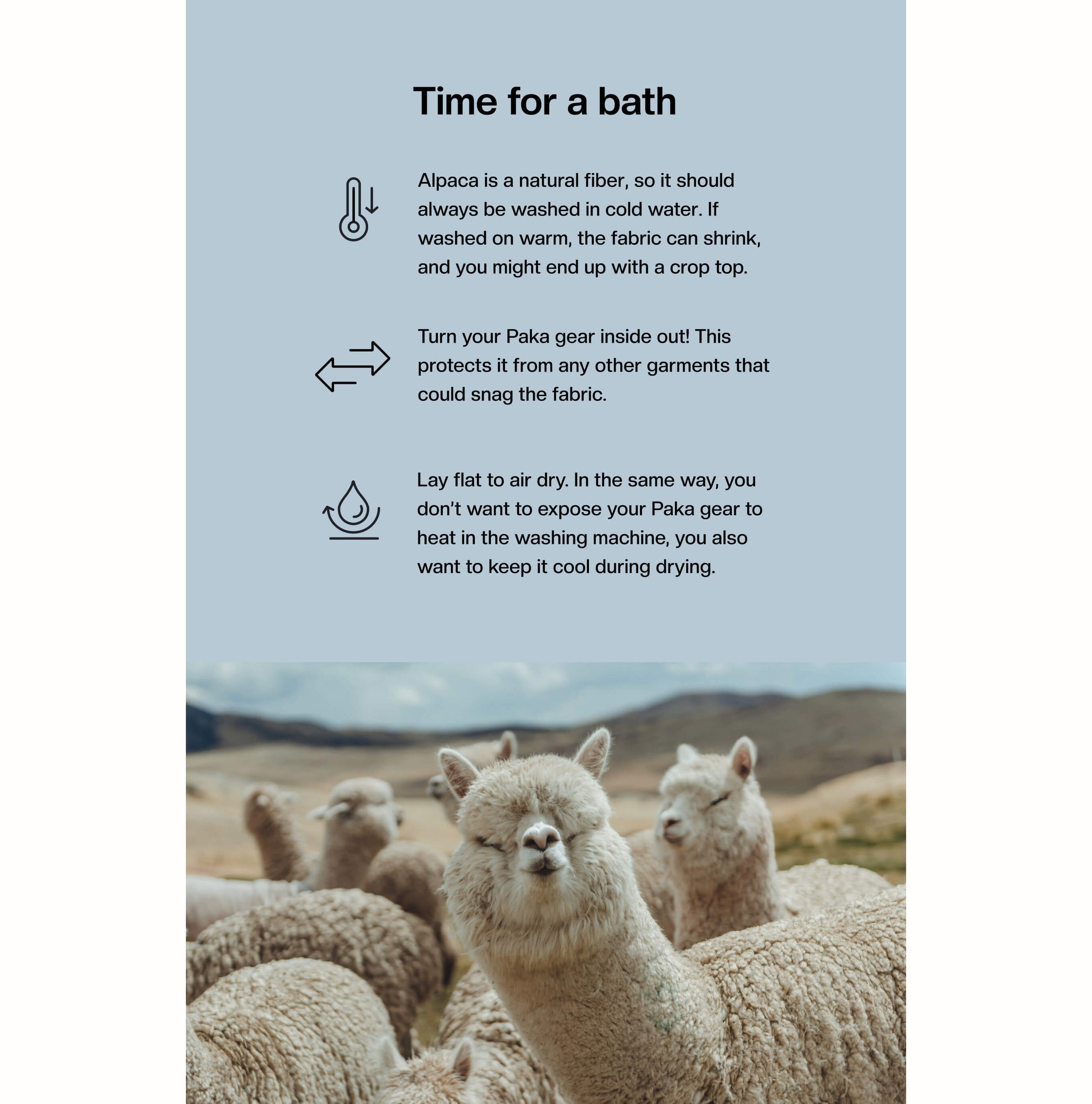 Banner showing headline Time for a bath and washing tips for alpaca fiber over a small herd of alpacas