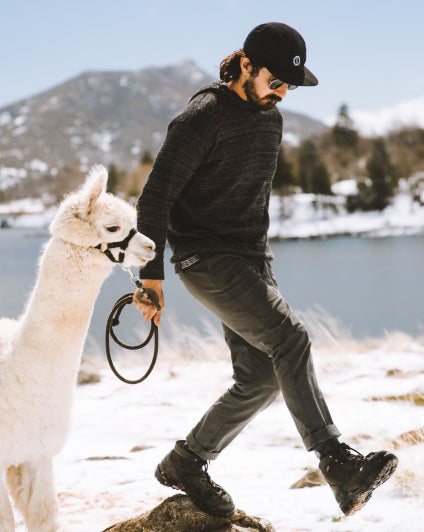 Man Named Rod in The Hoodie Charcoal / Dark Grey Sweater Hoodie with a White Alpaca in Front of a Snowy Mountain Lake – PAKA Apparel