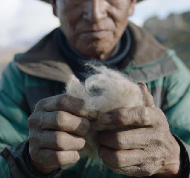 Man holding alpaca fiber