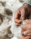 Close-up of a woman sorting loose white alpaca fiber by hand