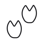 Alpaca Footprints Icon