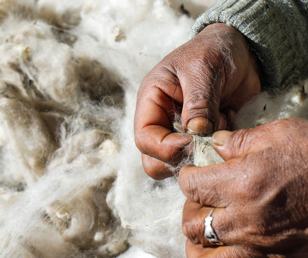 Close-up of hands separating and inspecting raw alpaca fiber over a pile of fleece