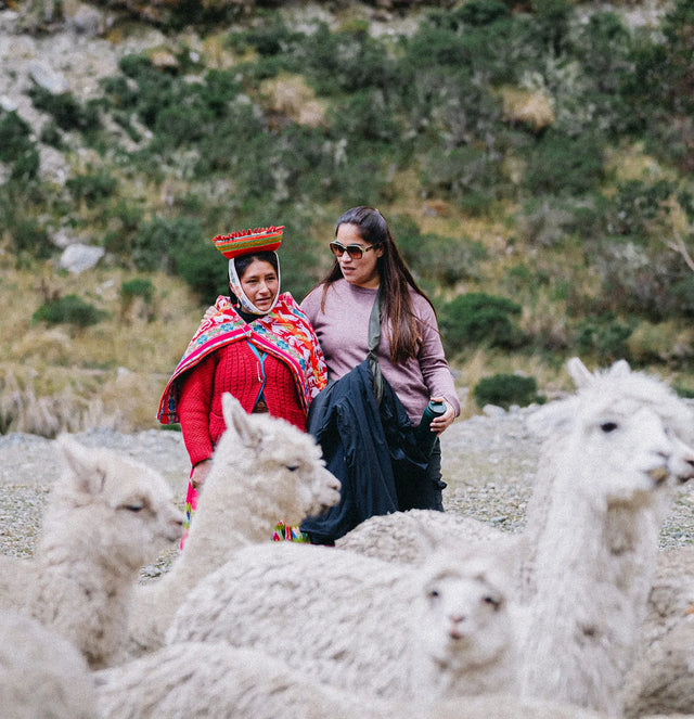 Two herders sitting among alpacas on a grassy Peruvian Andes hillside