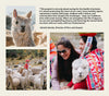 Graphic showing quote about protecting alpacas with three photos of alpacas and Peruvian herders