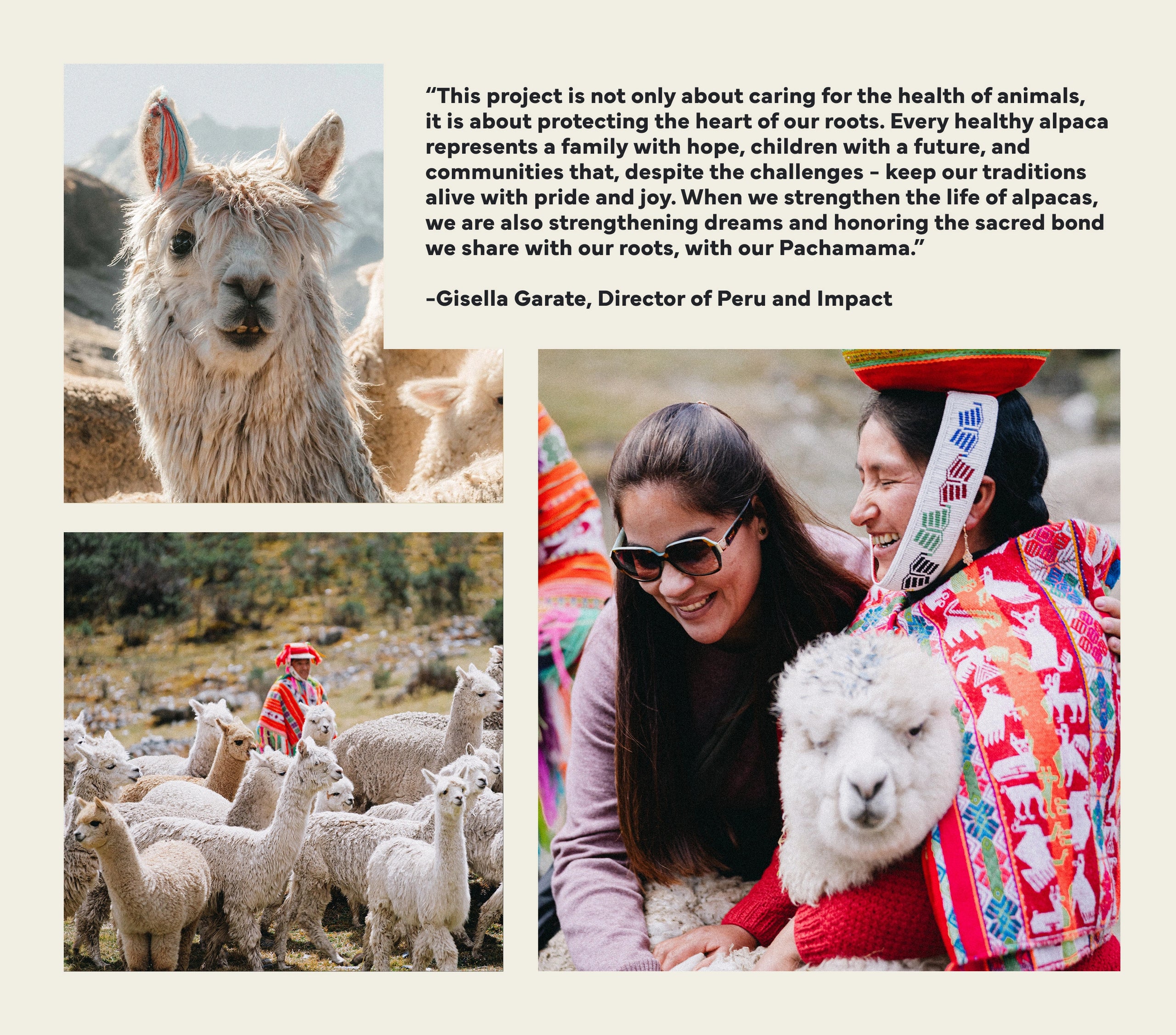 Graphic showing quote about protecting alpacas with three photos of alpacas and Peruvian herders