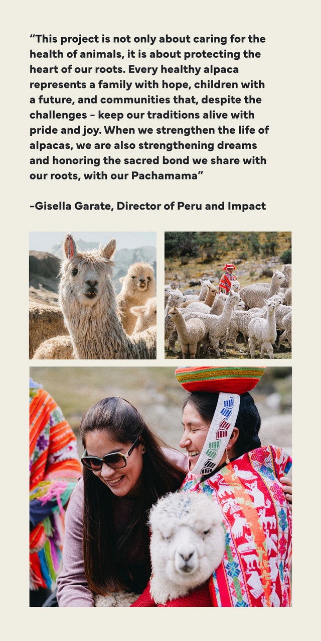 Alpaca herder smiling with two alpacas draped in colorful Peruvian textiles in the Andes