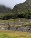 Alpacas grazing on stepped stone agricultural terraces on a foggy Andean hillside