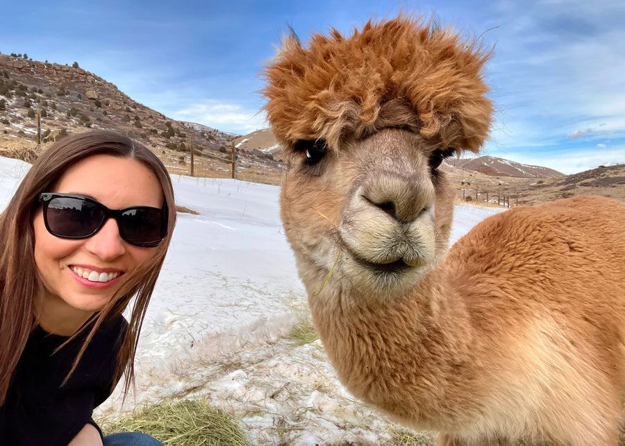 Woman taking a selfie with an alpaca in a snowy landscape