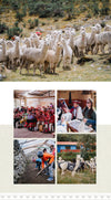 Collage of community scenes showing an alpaca herd, women weaving textiles, people packing goods, and villagers in rural Peru