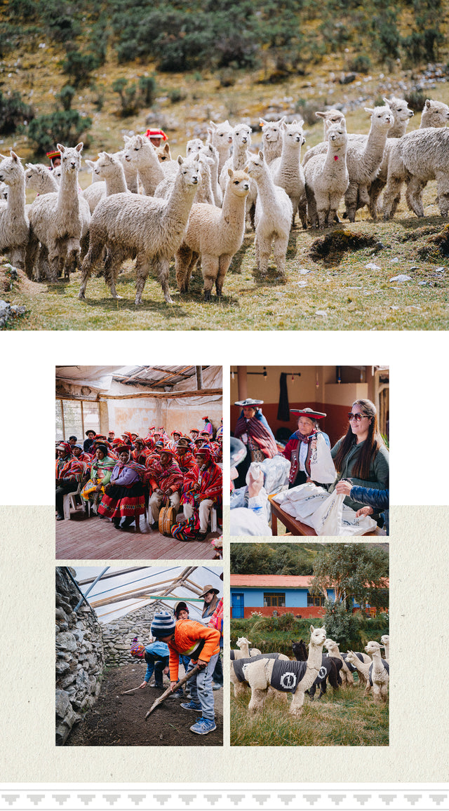Collage of community scenes showing an alpaca herd, women weaving textiles, people packing goods, and villagers in rural Peru