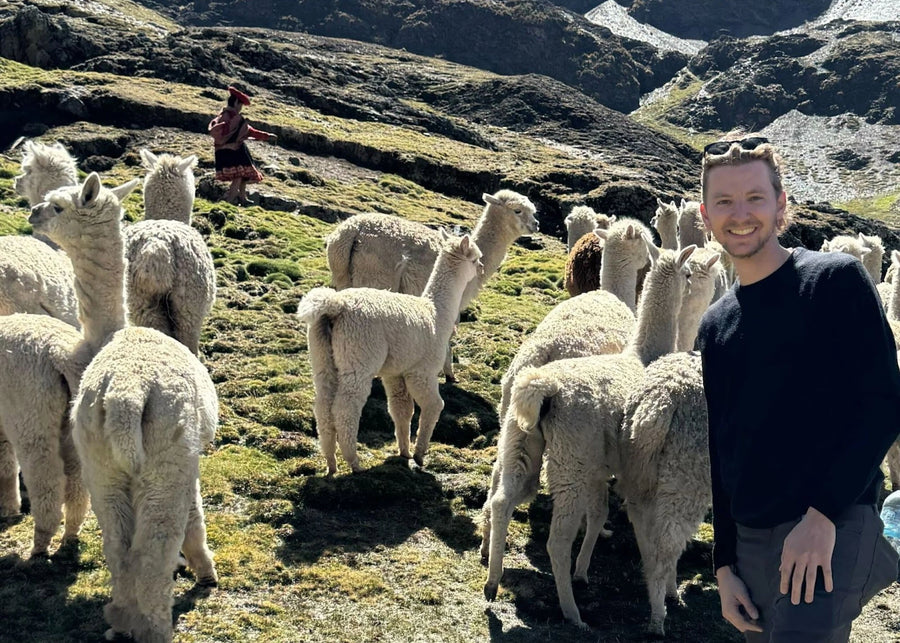 Nathan standing among a group of llamas in a mountainous landscape