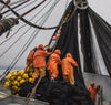 NetPlus logo