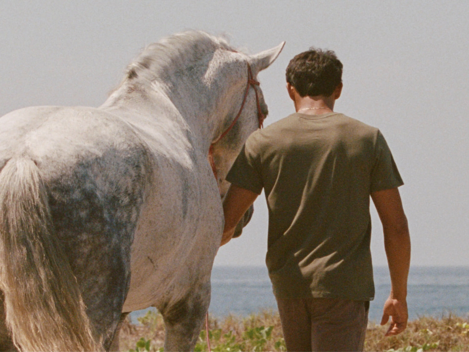 Man wearing an olive green Men’s Essential Tee in regular fit walking a white horse along a sunlit beach