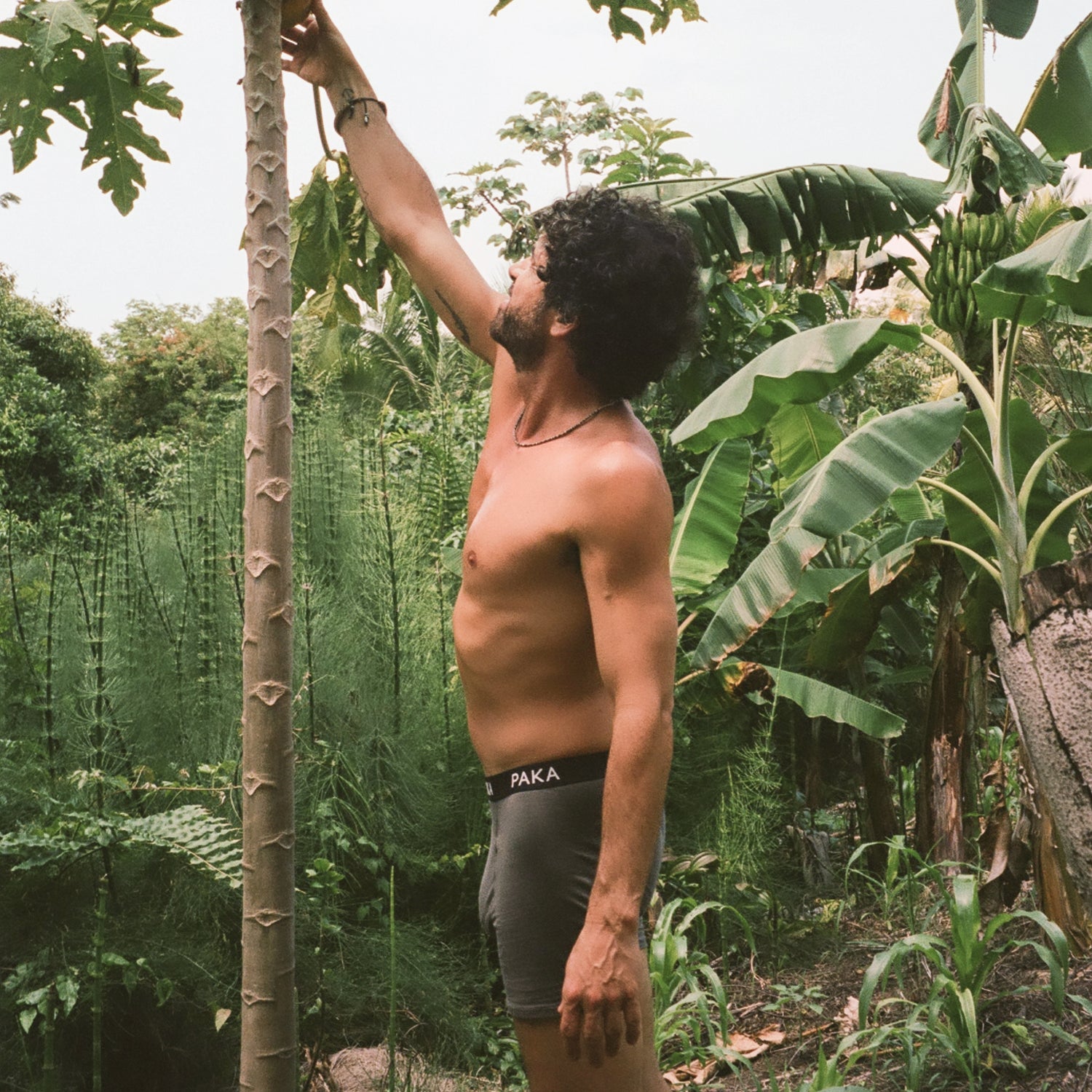 Shirtless man reaching up among tropical plants wearing gray fitted PAKA boxer briefs, mid-thigh length