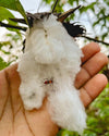 Close-up of organic Peruvian Pima cotton bolls on a plant at a rainforest-adjacent farm