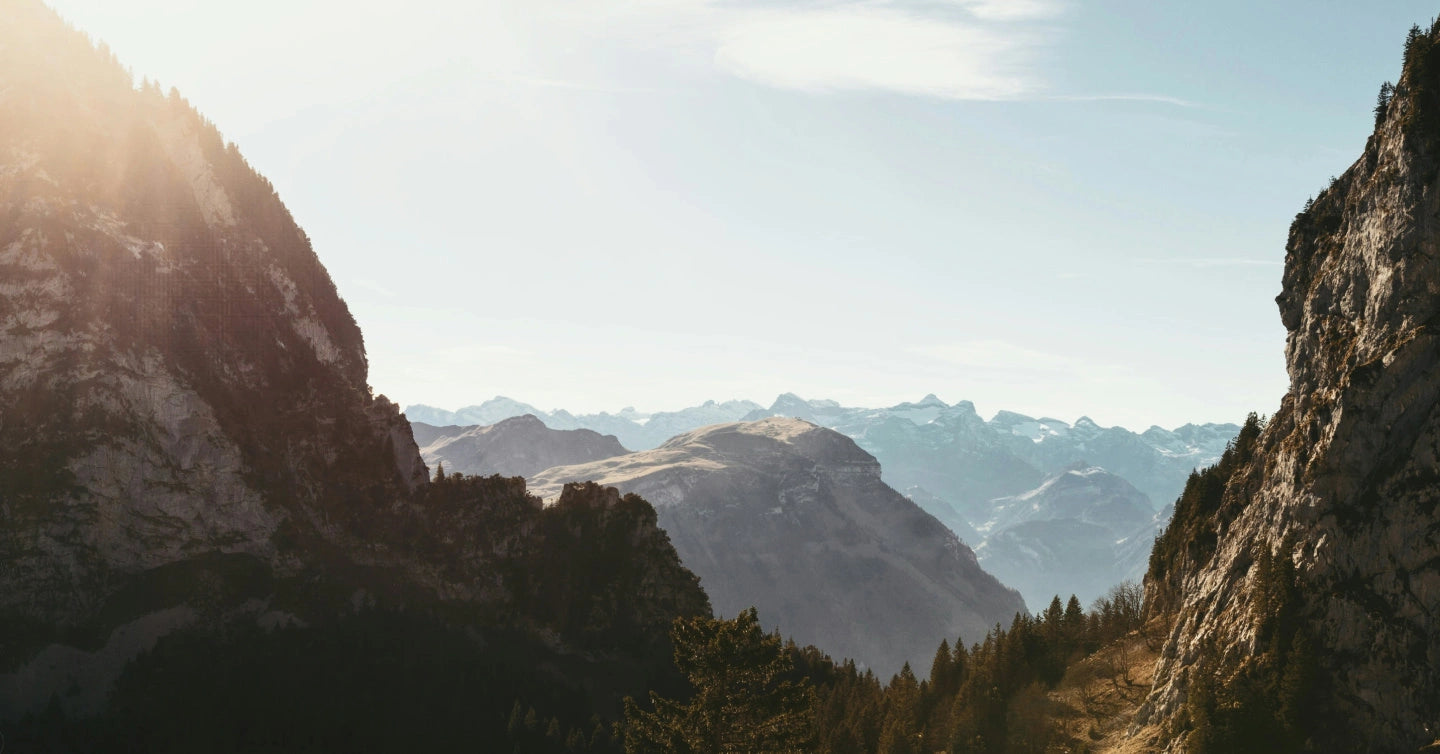 A beautiful landscape of mountains and pines 