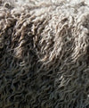 Close-up of alpaca fiber fabric showcasing soft, fluffy texture and natural halo in neutral lighting