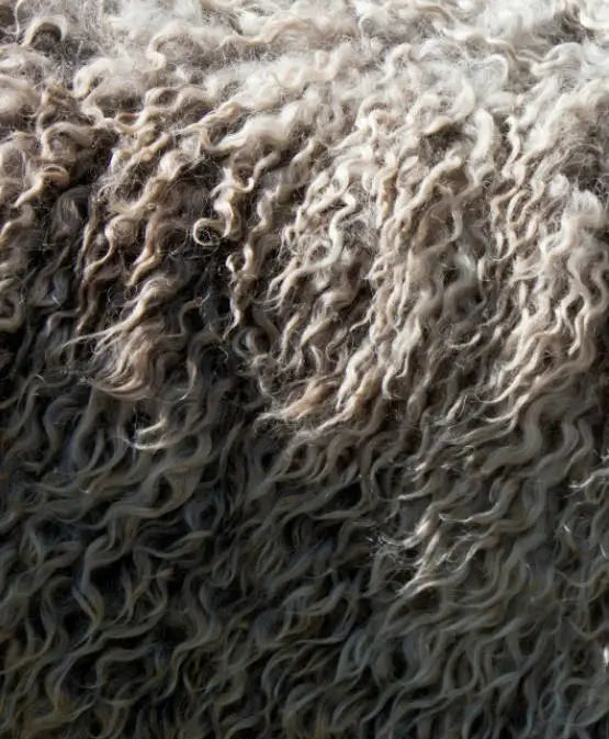 Close-up of alpaca fiber fabric showcasing soft, fluffy texture and natural halo in neutral lighting