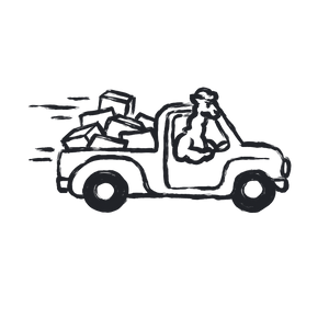 Free shipping icon