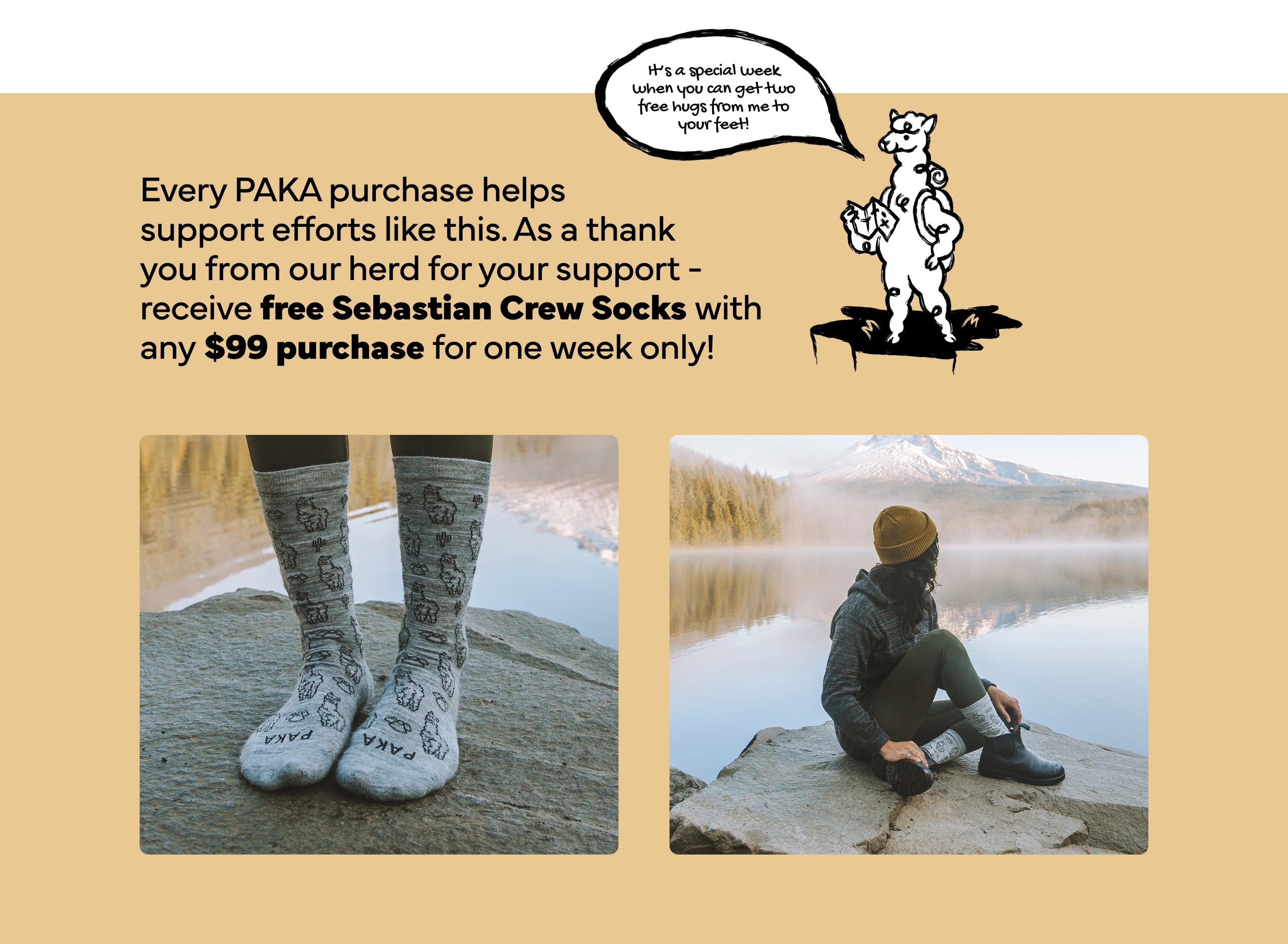 Collage showing a gift-with-purchase pair of outdoor socks and scenes of alpaca herding in the Peruvian Andes