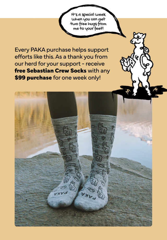 Promotional banner of gray Sebastian crew socks and headline offering free socks with a qualifying purchase for one week