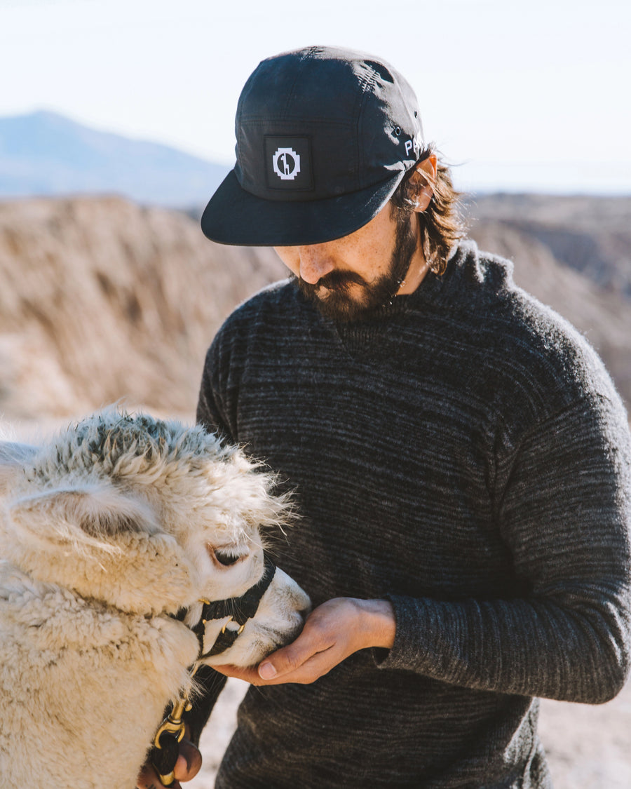 Man wearing charcoal alpaca hoodie in a unisex fit feeding an alpaca in a sunlit desert landscape