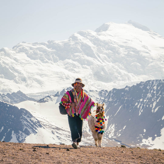 A man in a colorful poncho walking with an Alpaca in front of Ausangate