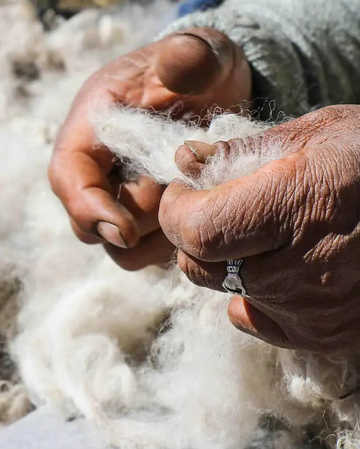 Close-up of hands separating soft white alpaca fiber from a pile of fleece