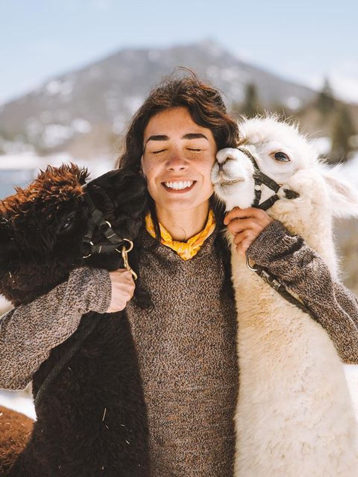 Person smiling while hugging a black alpaca and a white alpaca in a snowy mountain setting