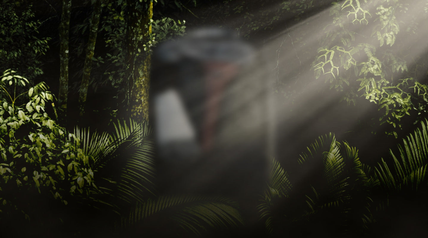 Person walking along a mossy forest path with sunbeams filtering through the trees