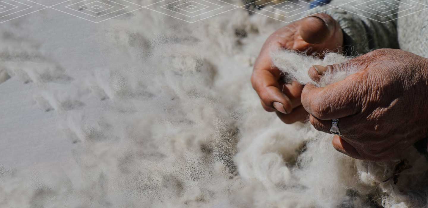 Hands of Peruvian Woman Artisan Holding Alpaca Fiber – PAKA Apparel