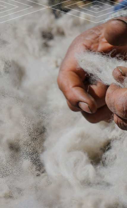 Hands of Peruvian Woman Artisan Holding Alpaca Fiber – PAKA Apparel