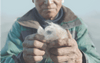 A Peruvian farmer holding the alpaca fiber