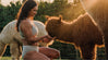 A women wearing alpaca underwear feeding a brown alpaca under the sunshine 