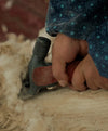Close-up of a farmworker using electric clippers to shear white alpaca fleece