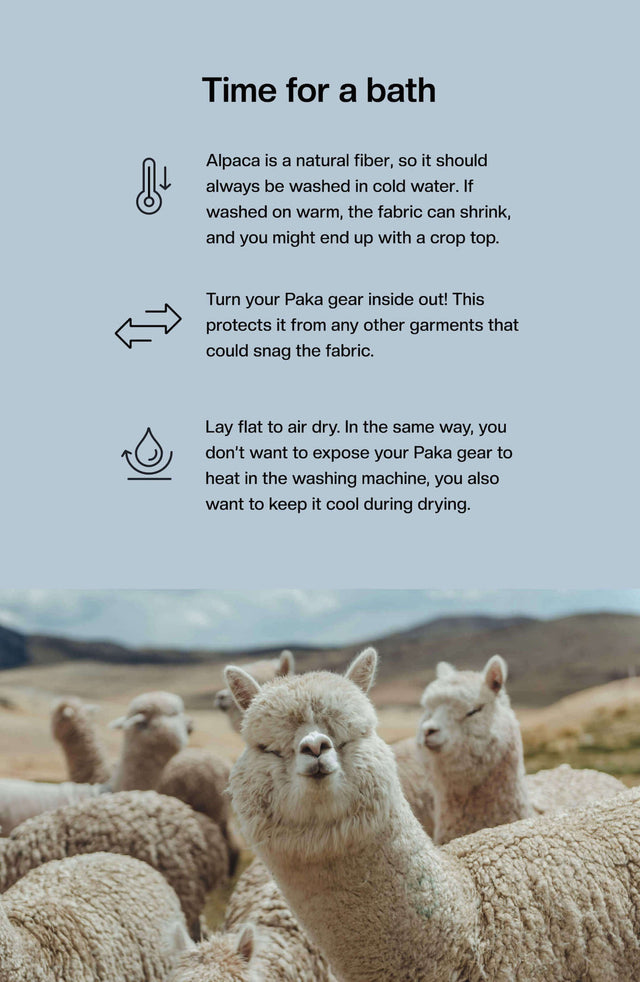 Informational banner showing headline ‘Time for a bath’, three short alpaca-washing tips, and a photo of several white alpacas in a grassy field