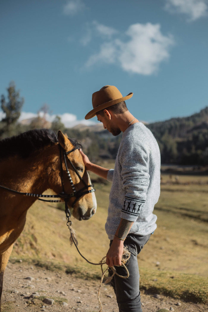 Man wearing light grey Costa alpaca crewneck sweater petting a horse in a sunlit grassy field